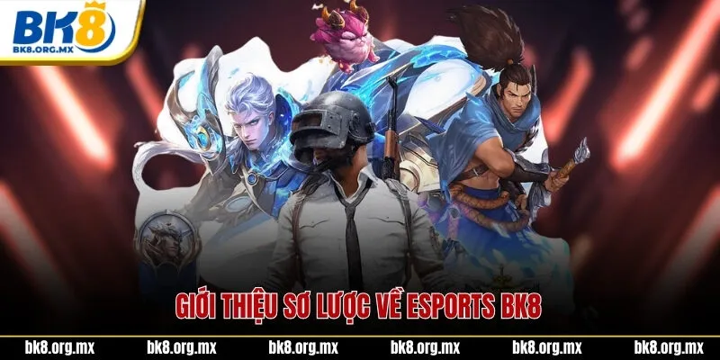 Giới thiệu sơ lược về Esports BK8 