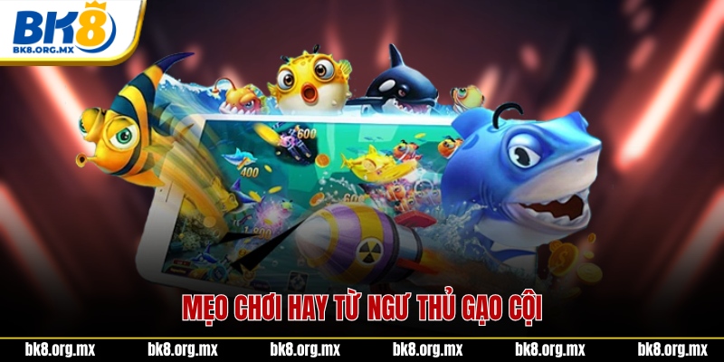 Mẹo chơi hay từ ngư thủ gạo cội
